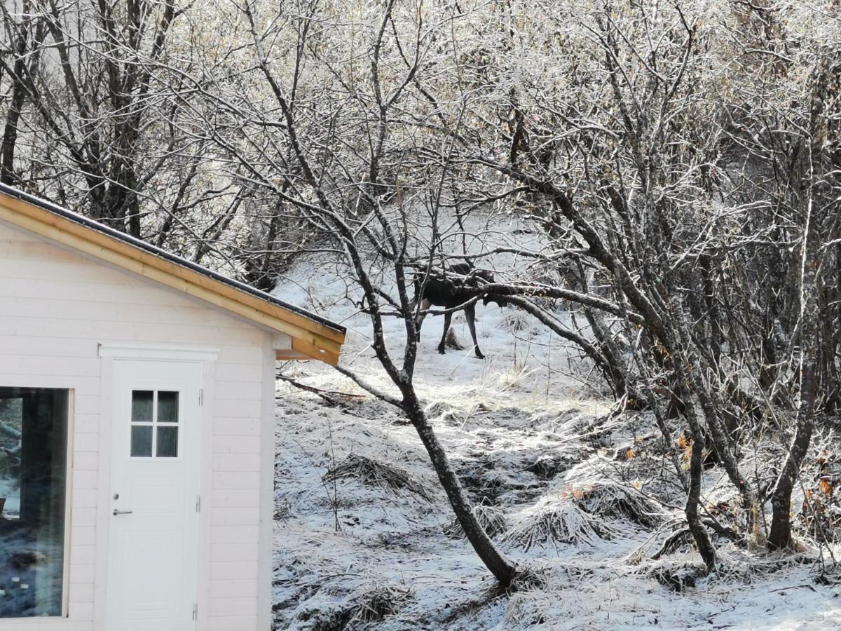 Relaxing Cabin Gravdal (Vestvagoy) Exterior photo